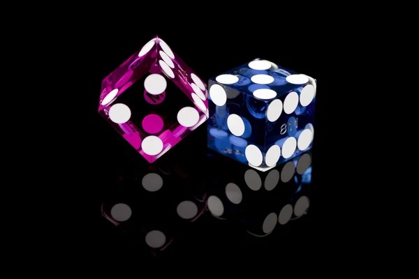 Bikini Paradise live dealer table at gelora188 login studio